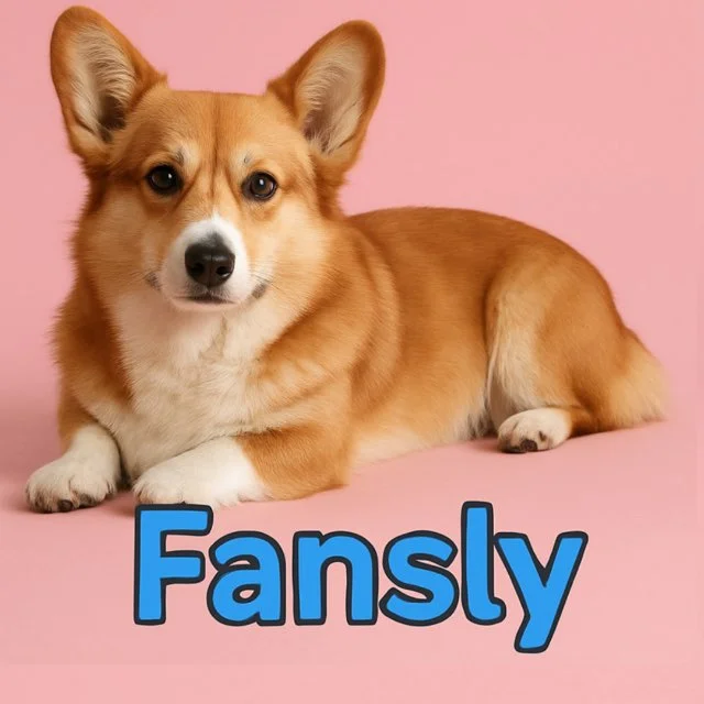 Аватар Fansly заметки от Коржика
