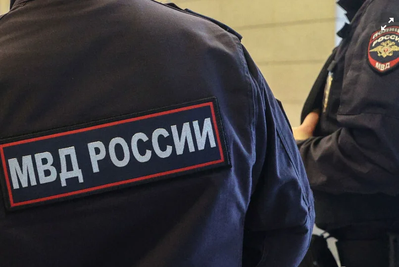 Россиянина задержали за распространение порно с детьми в соцсетях
